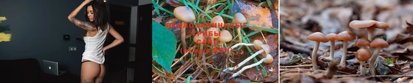 соль курить ск Бронницы